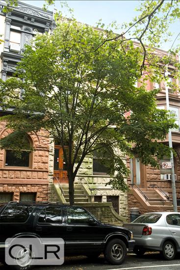 98 Lincoln Place 1 Park Slope Brooklyn NY 11217