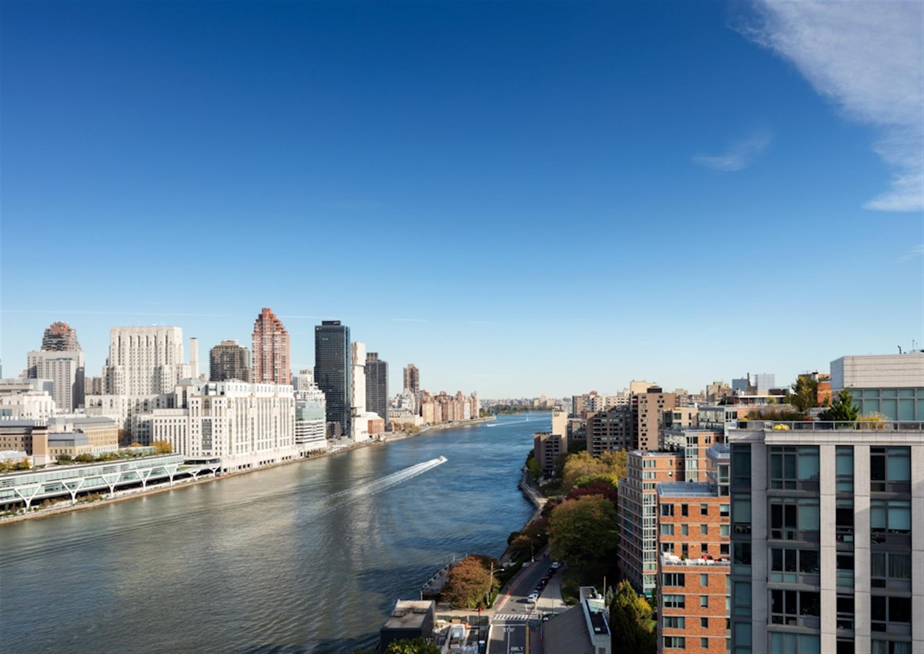 Roosevelt Island