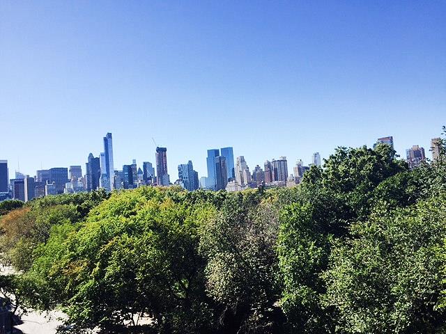 952 Fifth Avenue Upper East Side New York NY 10075